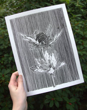 Load image into Gallery viewer, ORIGINAL Artwork Thistle Ink Drawing