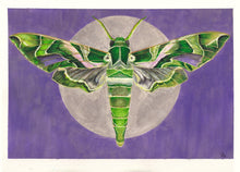 Load image into Gallery viewer, Original Painting of the Oleander hawk-moth