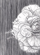 Load image into Gallery viewer, ORIGINAL Artwork Rose Ink Drawing