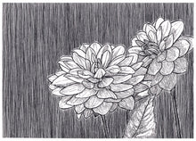 Load image into Gallery viewer, ORIGINAL Dahlia Black Ink Art