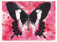 Load image into Gallery viewer, ORIGINAIL BUTTERFLY Painting Fluminense Swallowtail