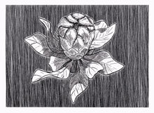 Load image into Gallery viewer, ORIGINAL Artwork Strange Flower Ink