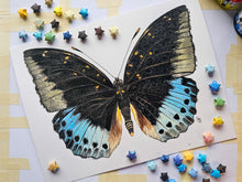 Load image into Gallery viewer, Photograph of a painting of a butterfly. The painting is surrounded by tiny origami stars.