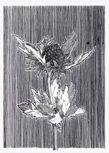 Load image into Gallery viewer, ORIGINAL Artwork Thistle Ink Drawing