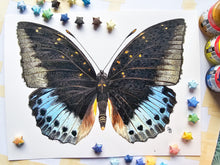 Load image into Gallery viewer, Original Painting of the Black-tipped archduke