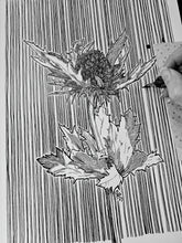 Load image into Gallery viewer, ORIGINAL Artwork Thistle Ink Drawing