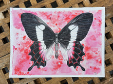 Load image into Gallery viewer, ORIGINAIL BUTTERFLY Painting Fluminense Swallowtail