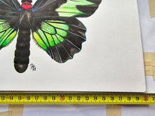 Load image into Gallery viewer, Original painting of the Rajah Brooke's birdwing