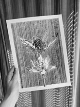 Load image into Gallery viewer, ORIGINAL Artwork Thistle Ink Drawing