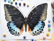 Load image into Gallery viewer, Original Painting of the Black-tipped archduke