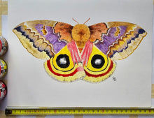 Load image into Gallery viewer, Original Painting of the Io moth
