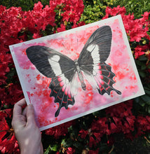 Load image into Gallery viewer, ORIGINAIL BUTTERFLY Painting Fluminense Swallowtail