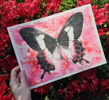 Load image into Gallery viewer, ORIGINAIL BUTTERFLY Painting Fluminense Swallowtail