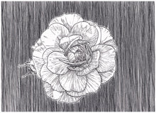Load image into Gallery viewer, ORIGINAL Artwork Rose Ink Drawing