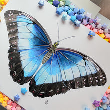 Load image into Gallery viewer, Original Painting of the Blue Morpho Butterfly
