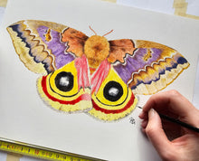 Load image into Gallery viewer, Original Painting of the Io moth
