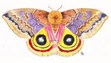 Load image into Gallery viewer, Original Painting of the Io moth
