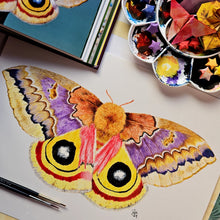 Load image into Gallery viewer, Original Painting of the Io moth
