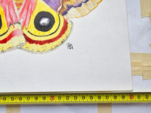 Load image into Gallery viewer, Original Painting of the Io moth
