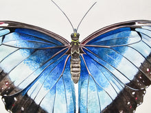 Load image into Gallery viewer, Original Painting of the Blue Morpho Butterfly
