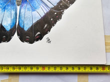 Load image into Gallery viewer, Original Painting of the Blue Morpho Butterfly
